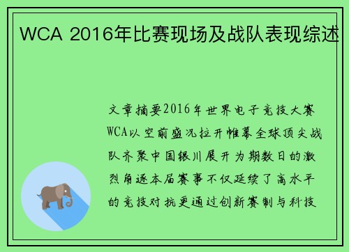 WCA 2016年比赛现场及战队表现综述