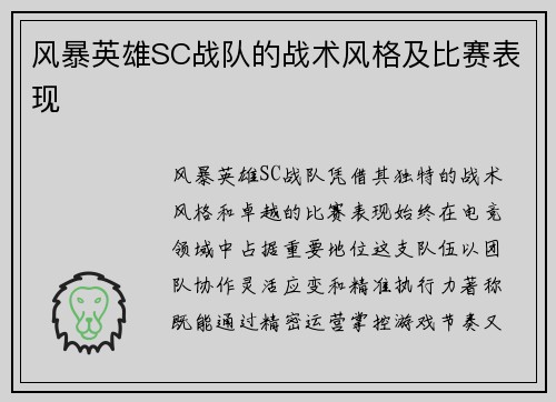 风暴英雄SC战队的战术风格及比赛表现